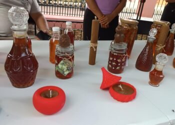 Valladolid, Hunucmá y Chocholá elevan a Yucatán como líder productor de miel