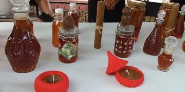 Valladolid, Hunucmá y Chocholá elevan a Yucatán como líder productor de miel