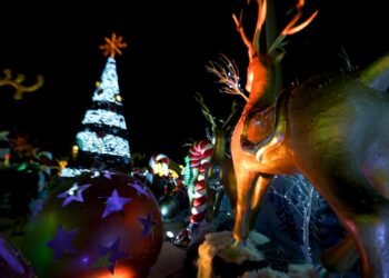 ¡Familias! La Navidad comienza en el Parque la Plancha; eviten perdérsela