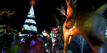 ¡Familias! La Navidad comienza en el Parque la Plancha; eviten perdérsela
