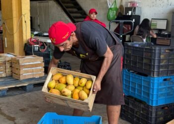 Central de Abastos Mérida