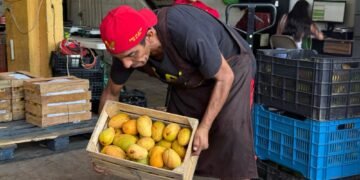 Central de Abastos Mérida