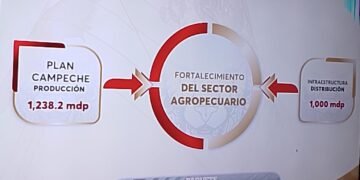 Campeche da “golpe de timón” a la economía con inversión en obra pública