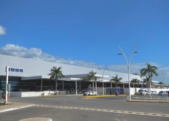 Aseguran en el Aeropuerto de Mérida a cacatúa moluca,  en peligro de extinción