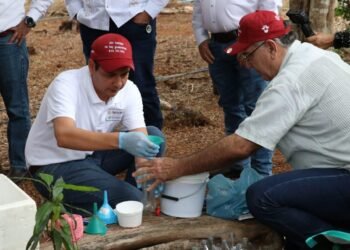 Seder y Senasica implementan plan contra la mosca del gusano barrenador
