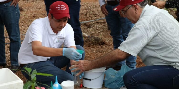 Seder y Senasica implementan plan contra la mosca del gusano barrenador