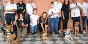 Realeza con cola: los nuevos reyes caninos del Carnaval Mérida 2026