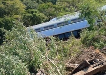 Tragedia ferroviaria en Oaxaca activa mensajes de apoyo internacional