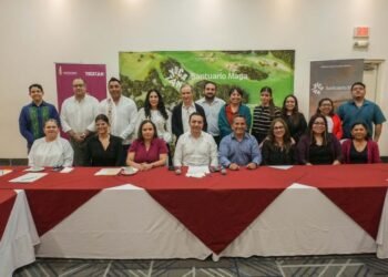 Yucatán, Turismo, Informe, OTY