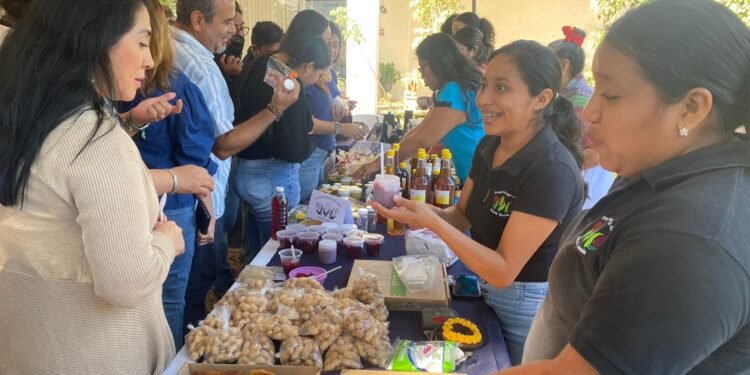 Mercado Agroecológico reunirá a productores en su edición decembrina
