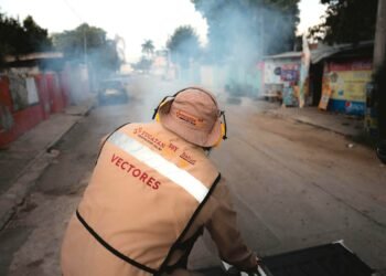 Activan protocolos de atención por confirmación de un caso de chikungunya