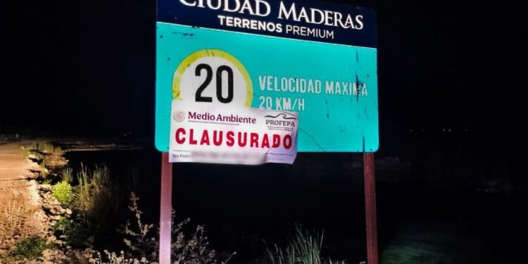 Clausura Profepa desarrollo inmobiliario “Ciudad Maderas Península Fase II” en Chelem