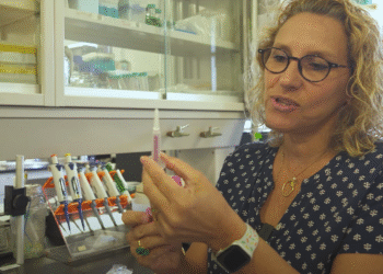 Ciencia al servicio de la salud; científicas de la UNAM crean prueba rápida para detectar virus del papiloma humano