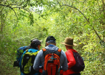 ¿Buscas senderismo auténtico en Yucatán? El Camino del Mayab se transforma