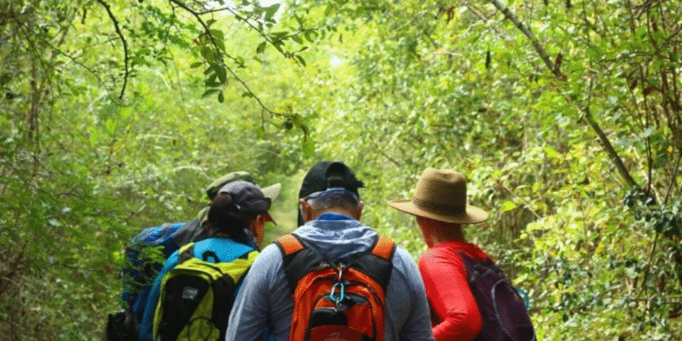 ¿Buscas senderismo auténtico en Yucatán? El Camino del Mayab se transforma