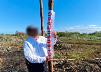 Profepa detiene ecocidio: frena avance inmobiliario que daña “pulmón” natural