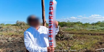 Profepa detiene ecocidio: frena avance inmobiliario que daña “pulmón” natural