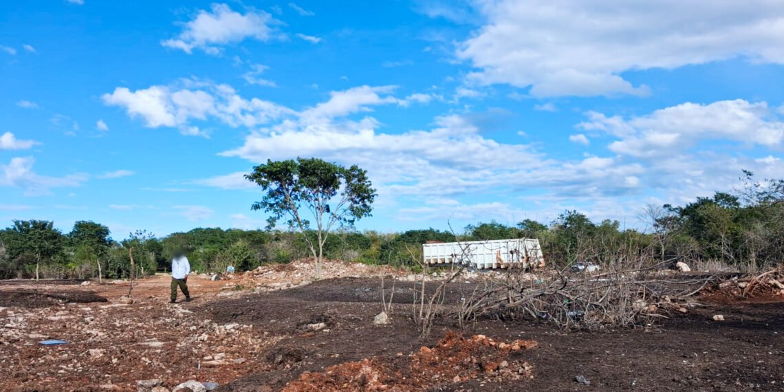 Profepa clausura predio en Kinchil por remoción ilegal de vegetación forestal