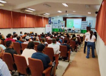 Yucatán apuesta por el limón: Tekax será sede del  Congreso Limonero 2026