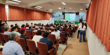 Yucatán apuesta por el limón: Tekax será sede del Congreso Limonero 2026