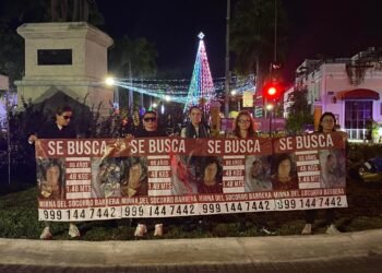 Desaparecida, Brigadas de Búsqueda, Mirna del Socorro