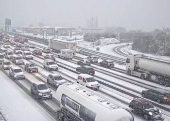 Nevadas en Francia dejan cinco muertos y activan alerta naranja
