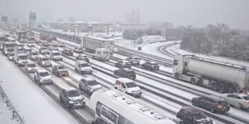 Nevadas en Francia dejan cinco muertos y activan alerta naranja