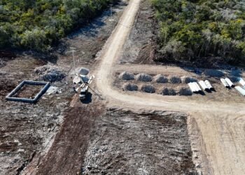 Escándalo en la selva por ecocidio de empresa avícola local