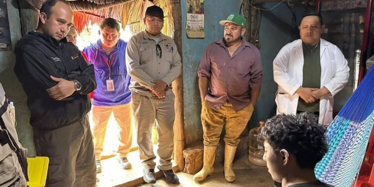 Sector salud activa vigilancia sanitaria por posibles casos de leishmaniasis