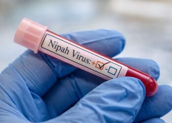 El rumor corre más que el virus: Nipah en India, sin evidencia de propagación global