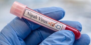 El rumor corre más que el virus: Nipah en India, sin evidencia de propagación global