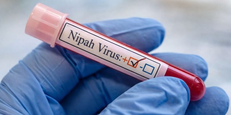 El rumor corre más que el virus: Nipah en India, sin evidencia de propagación global