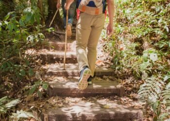 ¿Sales a zonas naturales? Aprende a protegerte de las garrapatas