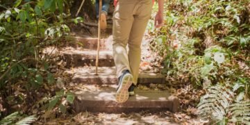 ¿Sales a zonas naturales? Aprende a protegerte de las garrapatas