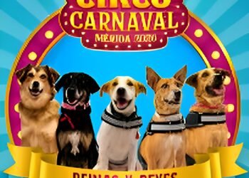 Los reyes más perrunos: Mérida corona a su primera Corte Real Canina