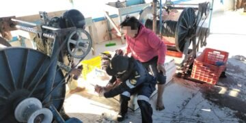 Semar auxilia a pescador herido por ataque de mantarraya en Arrecife Alacranes