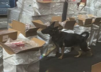 Cae marea de cigarros pirata en el AICM: Marina decomisa 88 toneladas