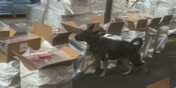 Cae marea de cigarros pirata en el AICM: Marina decomisa 88 toneladas