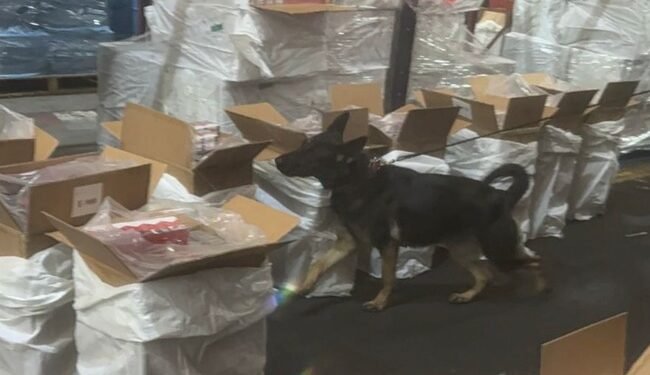 Cae marea de cigarros pirata en el AICM: Marina decomisa 88 toneladas