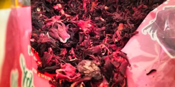 Jamaica, el nuevo rubí del agro mexicano