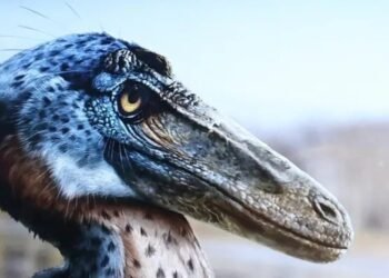 Nuevo dinosaurio mexicano sacude a la ciencia: descubren al Xenovenator espinosai