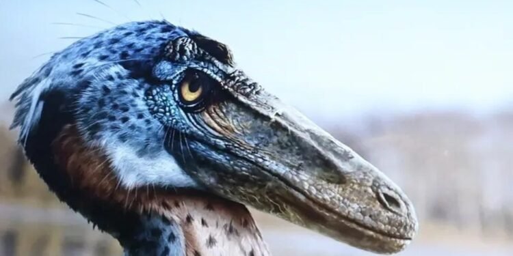 Nuevo dinosaurio mexicano sacude a la ciencia: descubren al Xenovenator espinosai