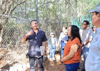 Dan segunda oportunidad a loros y guacamayas con centro de rescate