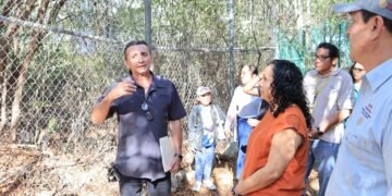 Dan segunda oportunidad a loros y guacamayas con centro de rescate