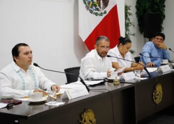 Buscan elevar a rango constitucional la salud mental y la soberanía alimentaria