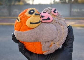 De México para el mundo: “Conchiamalitos” llevan a Punch del peluche al pan dulce