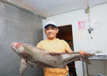 Yucatán cierra temporada del mero e inicia veda hasta marzo