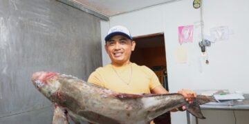 Yucatán cierra temporada del mero e inicia veda hasta marzo