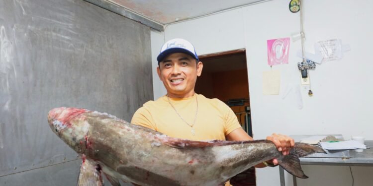 Yucatán cierra temporada del mero e inicia veda hasta marzo