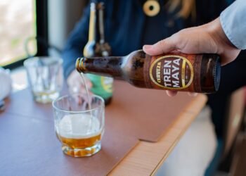 Viajar y degustar: Tren Maya lanza su cerveza artesanal